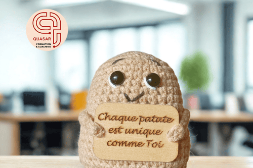 Chaque patate est unique, comme toi - Article blog management Quasar Lille