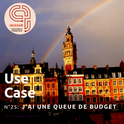 Use case n° 25 : "J'ai une queue de budget"