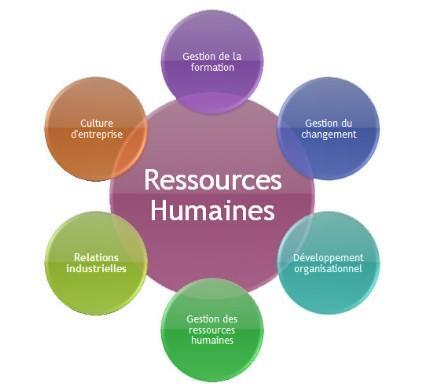 Coaching en ressources humaines Coaching en ressources humaines