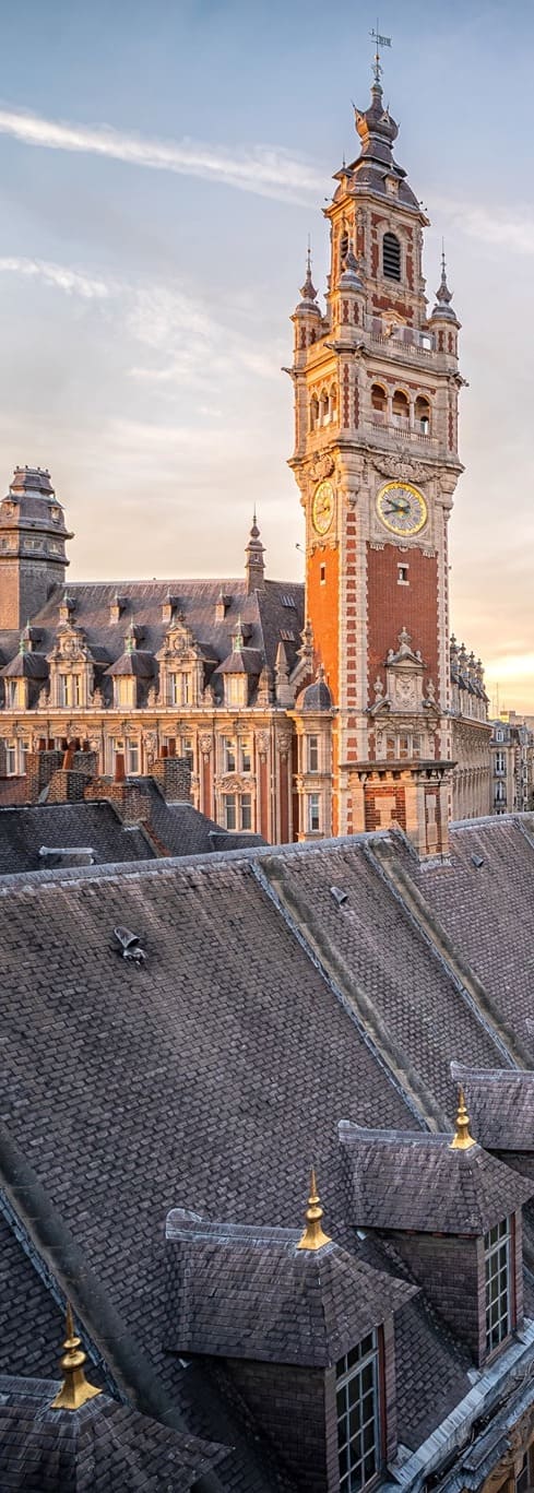 Solidarité Lille Solidarité Lille